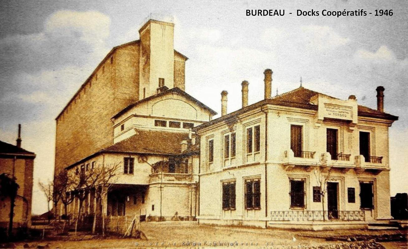Burdeau - Docks Cooperatifs- 1946.jpg